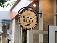 Black Bird in Asheville NC. 