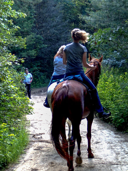 Horseback Riding in Pisgah Forest. 